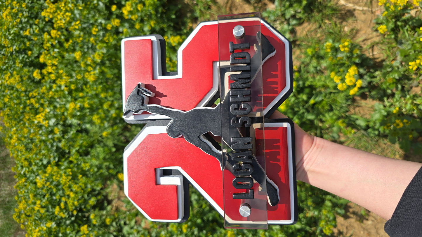 Jordan-Inspired 2025 Graduation Plaque – Limited Stock