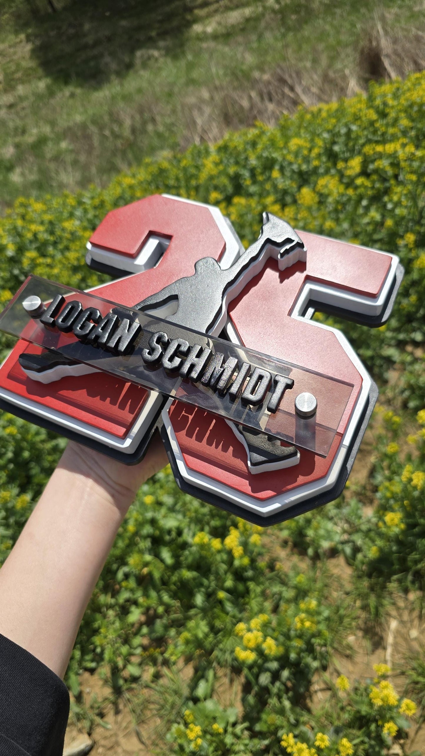 2026 Graduation Jumpman Plaque 5 layers customize with name and npc tap function school colors gift for senior